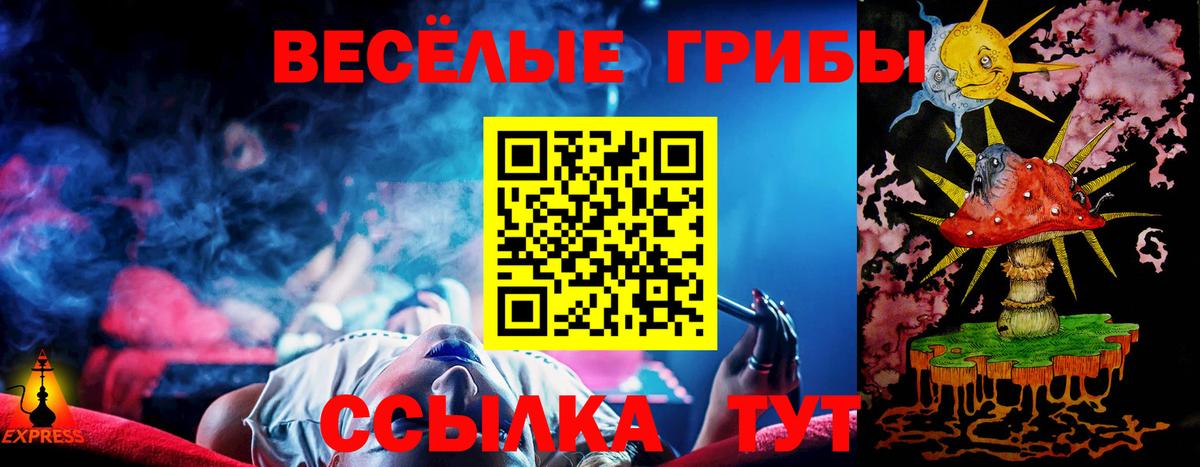 Псилоцибиновые грибы мухоморы Камышин