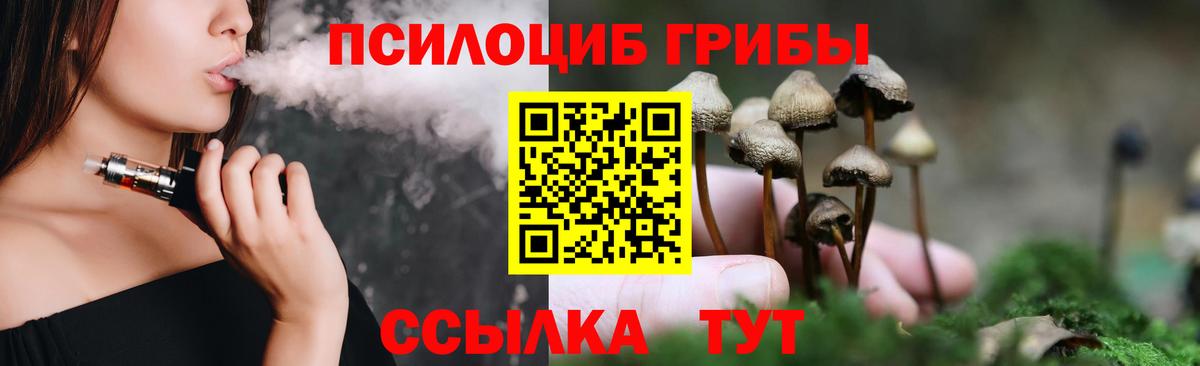 Галлюциногенные грибы Psilocybe  Псилоцибиновые грибы Magic Shrooms  Камышин  Вход с VPN 