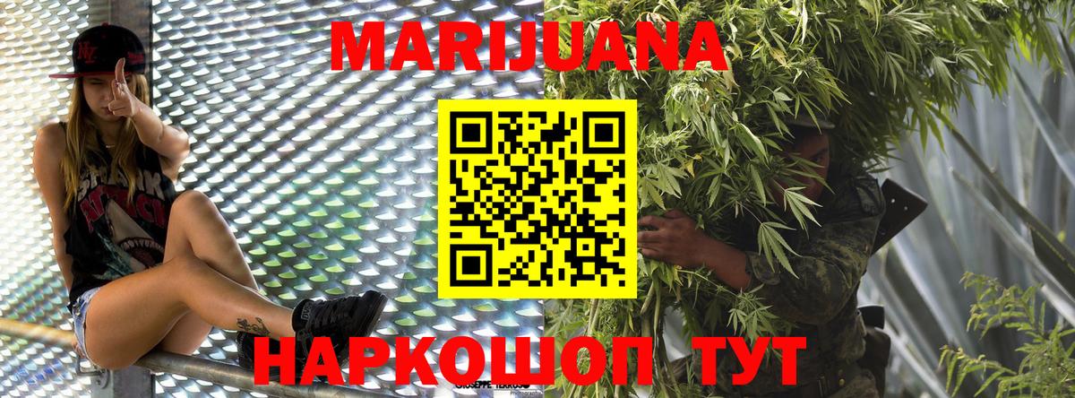 Камышин  Каннабис тримм  Марихуана Ganja  Шишки марихуана план  Вход с VPN  Канабис индика 